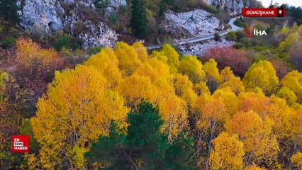 Gümüşhane'nin Alpleri aratmayan sonbahar güzelliği