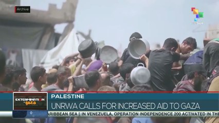 Palestine: UNRWA calls for increased aid to Gaza