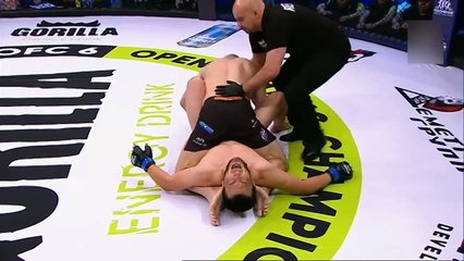 Top MMA Submissions  Part 23  Best MMA Submissions 2025