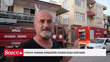 İtfaiye yangını söndürüp, evdeki kuşu kurtardı