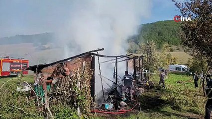 36 kovan arı yangında telef oldu