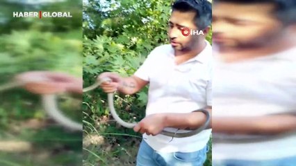 1 metrelik yılanı elleriyle yakalayıp doğaya saldı: "İnsanlardan uzak durmasını tavsiye ettim, onlar daha tehlikeli"