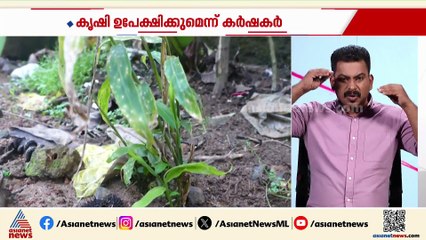 'സാമ്പത്തിക ബുദ്ധിമുട്ടിലാണ് കൃഷി, കുമിൾ രോ​ഗം തിരിച്ചടിയായി'; ഇ‍ഞ്ചി കർഷകർ പ്രതിസന്ധിയിൽ