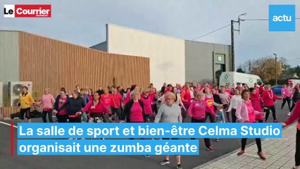 Loudéac : une zumba géante au profit d'Octobre Rose
