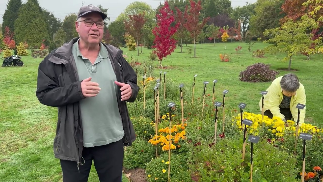 West Midlands garden shows autumn colours