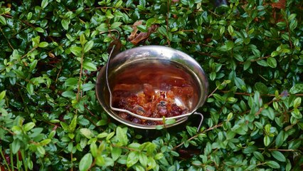 An unusual drink according to traditional recipes from tree resin