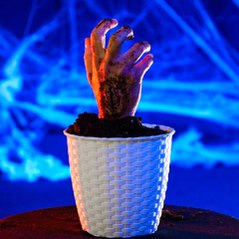 Halloween is a real treat with these spooky decorations