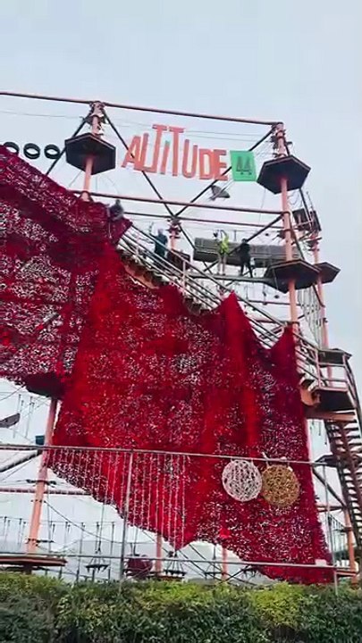 'A beautiful moment of togetherness and remembrance': Skegness' poppy display takes shape
