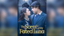 The Scent Of My Fated Luna Full Episodes