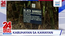 Kabuhayan sa kawayan #shorts | 24 Oras Weekend