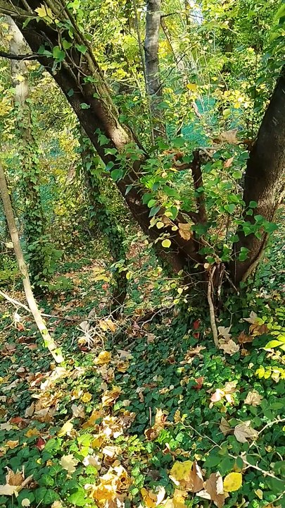 Seconde séance d'entrainement de cross