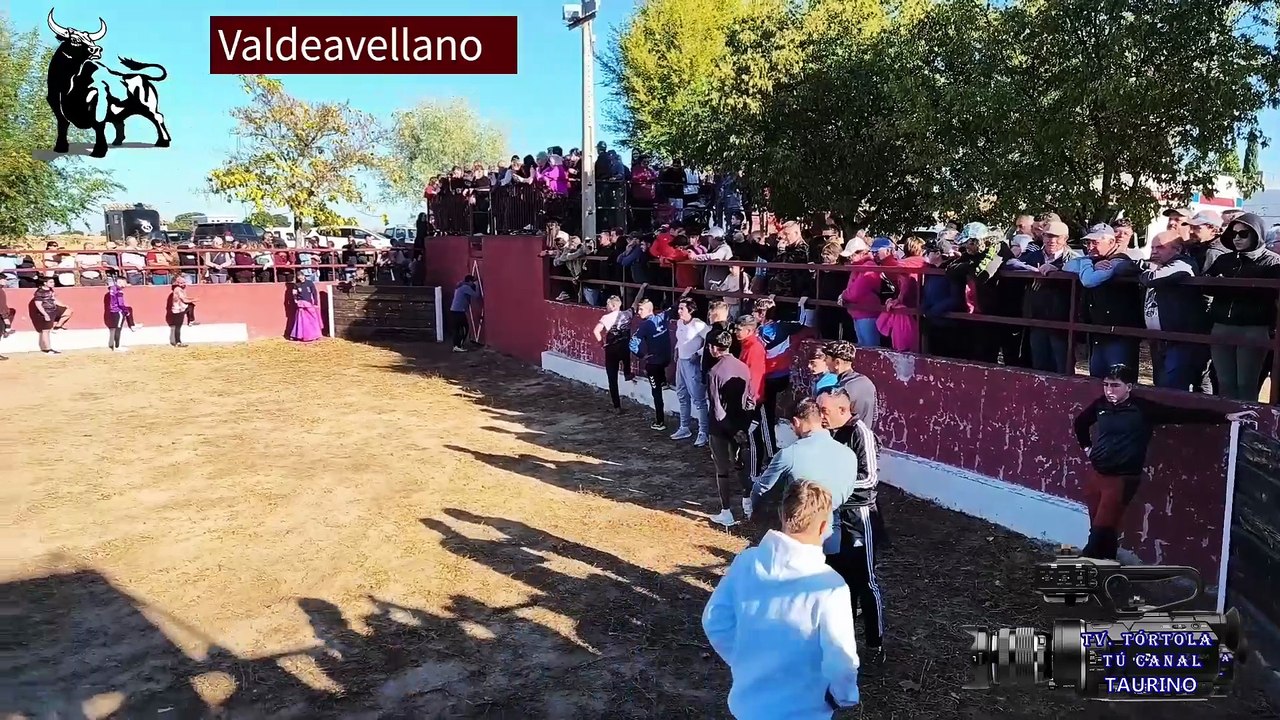 VALDEAVELLANO 18-10-2025