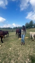 "Io mamma pastore, troppo tempo per la burocrazia"