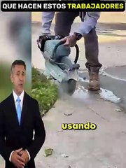 El mejor jardinero del mundo