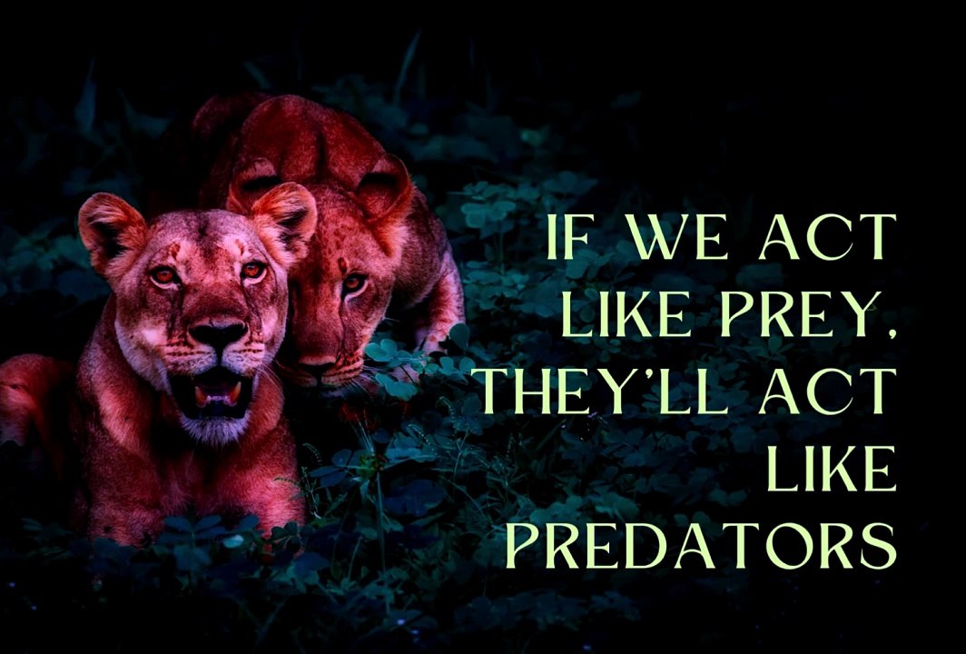 Best Gun Grips for Improved Accuracy and Comfort. Avail all 30 product links mentioned in description