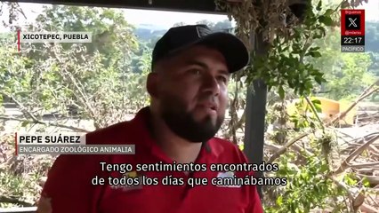 Zoológico de Puebla sufre daños por lluvias y evalúan trasladar animales