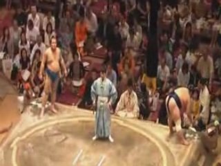 21 Mai '08 - Natsu basho - J11 - Chiyohakuhô - Kimurayama