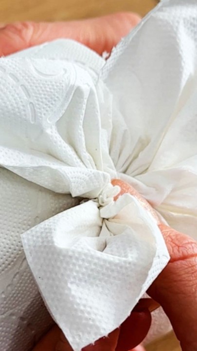 Transformez le papier toilette en jolies fleurs de salle de bain !