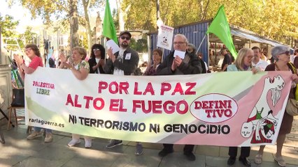 Centenares de personas se manifiestan en toda España por una "paz duradera" en Palestina