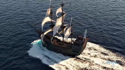 8 Sea Creature Mysteries That Will Freak You Out