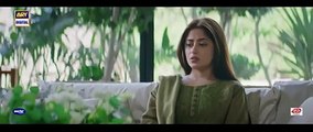 Main Manto Nahi Hoon drama episode 27