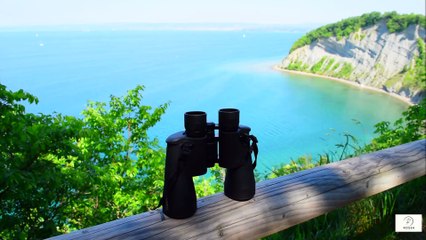 🏃‍♀️ Why It’s Never Too Late to Start Running — Even After 60  Gentle Motivation for Active Living