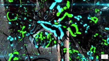 🧠🏃‍♀️ The Psychology of Movement How Running Keeps the Mind Young  Mental Health & Aging Well