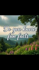 The Most Surprising Psychology Truths About Human Behavior🧠