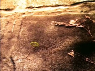 Jim Henson's The Storyteller S01E04 A Story Short