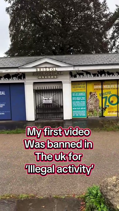 VIDEO ZOO
