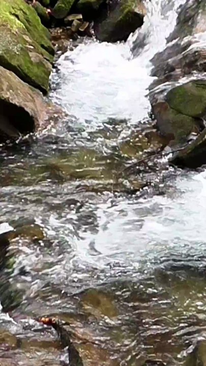 Relaxing Sounds to Unwind Fast