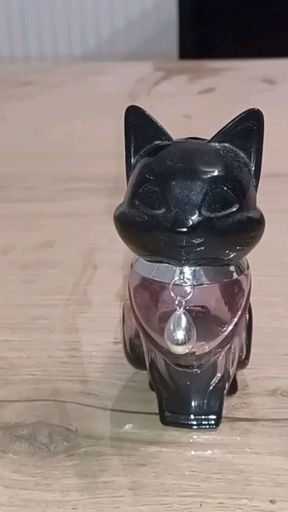 vidéo d'explications