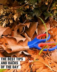 These are the best hacks to simplify your everyday life!