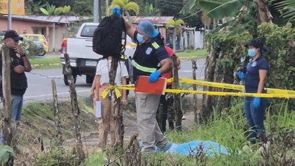 Hombre muere por descarga eléctrica mientras cosechaba pipas