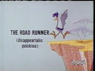 Zoom at the Top  1 (Jones) MM - Commentary by Matthew Hunter