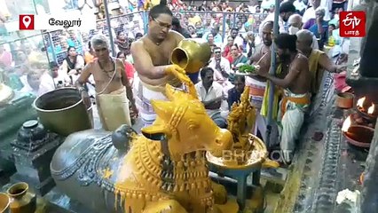 வேலூர் ஜலகண்டீஸ்வரர் கோயில்: களைகட்டிய மகா சனி பிரதோஷ விழா!