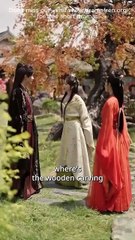 She Married for Her Sister He Went Crazy Sta Full Movie Chinese Drama