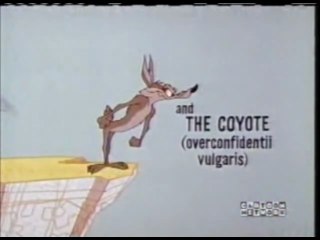 Zoom at the Top 2 (Jones) MM - Commentary by Matthew Hunter