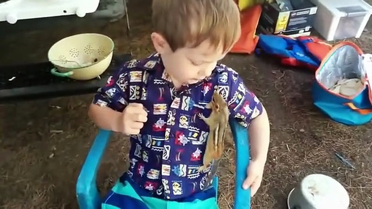 🐱 Funny Cats and Dogs Making Everyone Laugh Hard