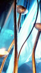 The Mind-Reading Baby Who Helped Her Family Win It All