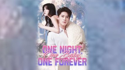 One Night One Baby One Forever