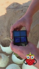 Hiding my WOWCube in the weirdest place 🧊😳 #weirdhack #wowcube