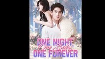 One Night, One Baby, One Forever