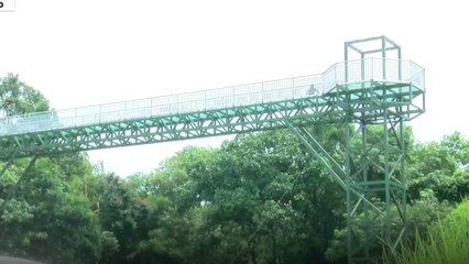 തിരുവനന്തപുരത്തുകാർക്ക് കൃത്രിമ മഴയും മഞ്ഞും കാണാം.. ആക്കുളം കണ്ണാടിപ്പാലം ഉടൻ തുറക്കും