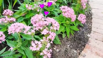 Chris learns how to help Mom and his friends _ 1 Hour Video