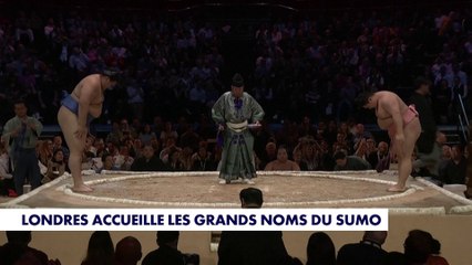 Londres accueille les grands noms du Sumo