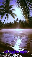 Tình thôi đã lỡ hẹn | Bolero Hoài Niệm