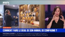 SIGNÉ BFM: comment faire le deuil de son animal de compagnie?
