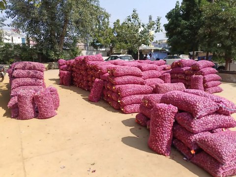 प्याज की आवक शुरू, मालाखेड़ा और खैरथल मंडियों में भी होगी प्याज की खरीद,
