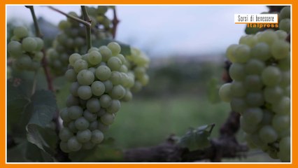 Sorsi di Benessere - Dall'uva un frullato salutare e goloso